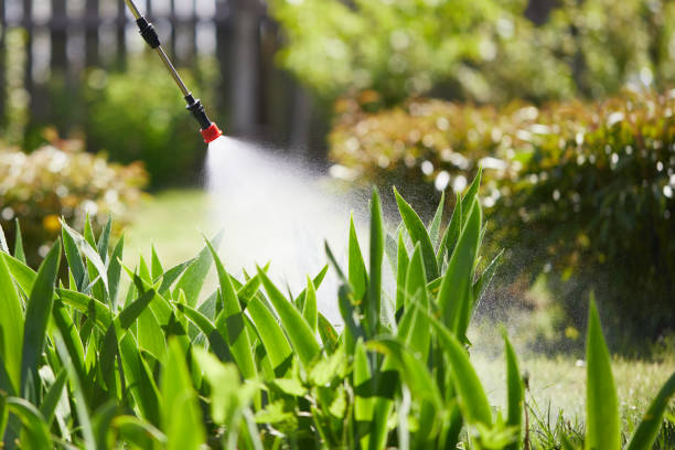 Tamper-Resistant Bait Stations for Rodents in Parma