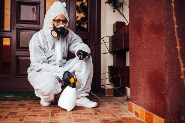 Attic and Crawl Space Rodent Treatment in Parma